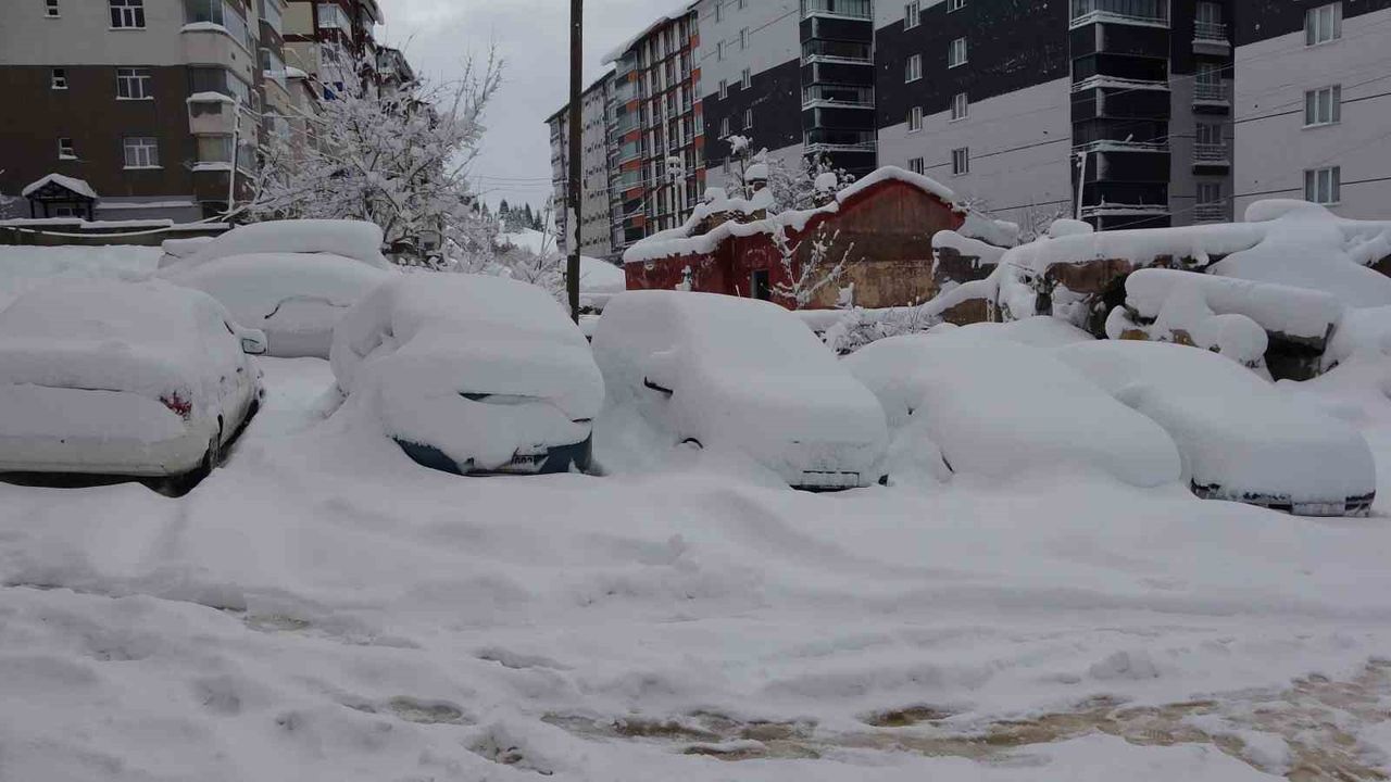 Arabalar ve tek katlı evler kara gömüldü