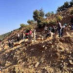 Sepetli motosiklet uçurumdan uçtu: 3 yaralı