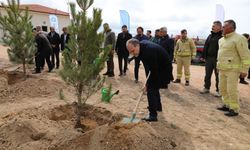 Niğde’de Bal Ormanı Kurulumunun 2. Etabı Gerçekleştirildi