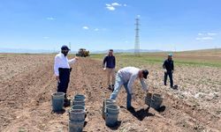 Deneme Dikimleri Kayseri’de Yapıldı