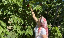 Evinde anne, tarlada çiftçi, mağazada patron