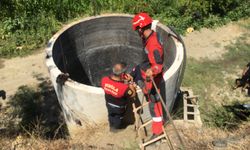 Serinlemek için girdiği su kuyusu sonu oldu