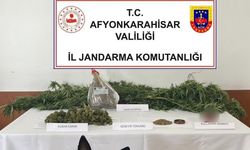 Balkonda kenevir yetiştiren şahsı jandarma yakaladı