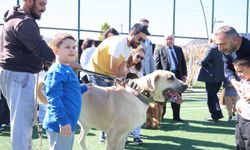 Özel çocuklar, hayvanlar ile vakit geçirdi