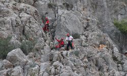 Keçilere Kurtarma Operasyonu Düzenlendi, Gerçek Başka Çıktı