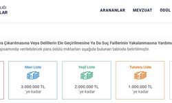 Terörist ihbar edenlere devletten büyük para ödülü