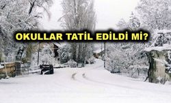 Niğde Valiliğinden Son Dakika Tatil açıklaması