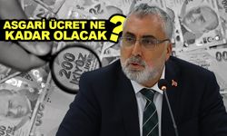 Bakan'dan Asgari ücret açıklaması !