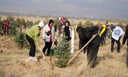 Niğde’de 5 bin fidan toprakla buluşturuldu