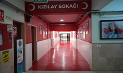 Niğde Güzel Sanatlar Lisesi'nde Hilal-i Ahmer Sokağı açıldı