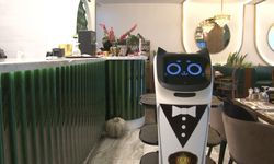 Kebap salonunda garson robotlar çalışıyor