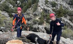 Uçurumda mahsur kalan keçi kurtarıldı