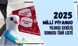 Milli Piyango Yılbaşı Çekiliş Tam Liste