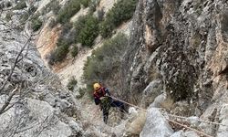 Dağlık alanda mahsur kalan keçi kurtarıldı