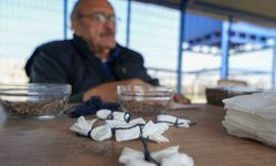 Peçetede saklı umutlar, doğada filizlenecek