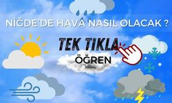 Niğde'de soğuk hava ve zirai don Kapıda