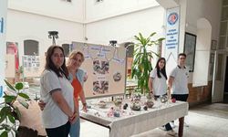 Liseli gençler, okulun ekosistemini değiştirdi