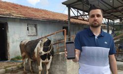 Kurbanlık almak isterken dolandırıldı