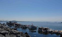 Oltaya köpek balığı takıldı