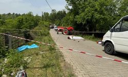Tarla anlaşmazlığında kardeşi ile eniştesini öld *rdü