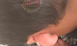 Valilikten öğrenci darp iddiasına ilişkin açıklama