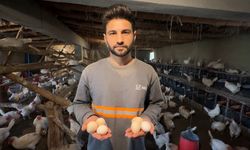 Genç köyde kurduğu çiftlikle yumurta üretimine başladı