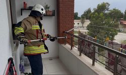 Evin balkonunda yılan paniği
