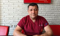 Sineklerle mücadele yönteminizi değiştirin