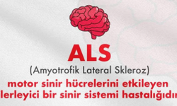 Kasları değil, hayatları etkiliyor