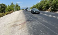 Otobüsün çarptığı yaya hayatını kaybetti