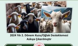 Kuzu Oğlak destekleme askı listeleri yayınlandı