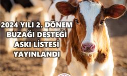 Niğde’de buzağı destekleme askı listeleri yayımlandı