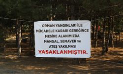 Mesire alanlarında mangal, semaver yakmak yasak