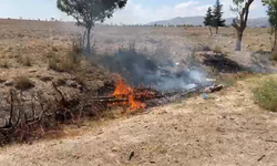 Niğde’de ağaçlık alanda yangın çıktı