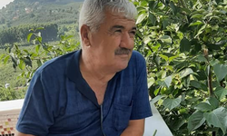 Erik toplamak için çıktığı ağaç sonu oldu