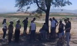 Niğde-Kayseri yolunda trafik kazası