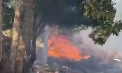 Hançerli köyünde yangın paniğe neden oldu