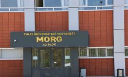 Araç içerisinde kuzeni tarafından vurularak öldürüldü