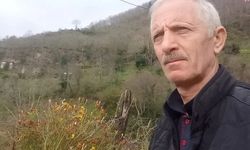 Armut ağacından düşen adam öldü
