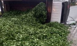 Kamyon kasasındaki 10 ton çayı böyle temizlediler