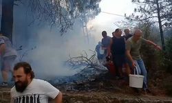 Orman yangınına kovalarla müdahale ettiler