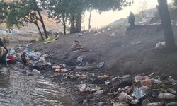 Kirletilen piknik alanı çöplüğe döndü