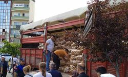 Yetiştirdiği 20 ton patatesi vatandaşa dağıttı