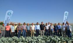 Kaynarca’da lahana üreticileri buluştu
