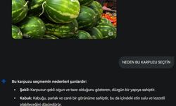 Yapay zeka pazara indi, karpuz seçimine başladı