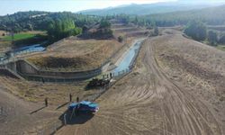 Kaybolan keçileri jandarma buldu