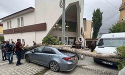 Ağaç devrildi araç hasar gördü