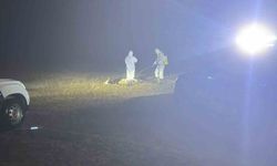 Şap hastalığı nedeniyle 5 köy karantinaya alındı