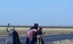 Dilenci kadınlar yol ortasında kavga etti