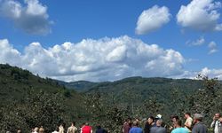 Patpat ölüm makinesine dönüştü